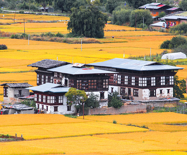 10 Things To Do in Bhutan