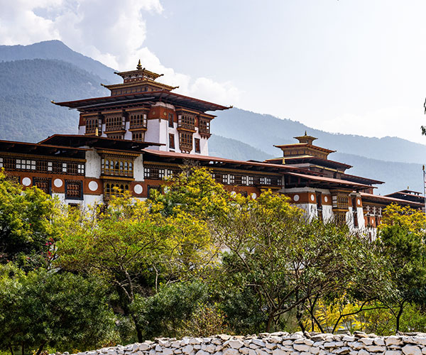 Family and Group Tours